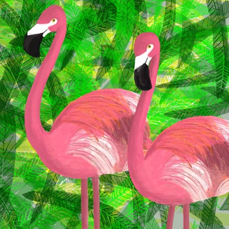 Click to enlarge image: Flamingos